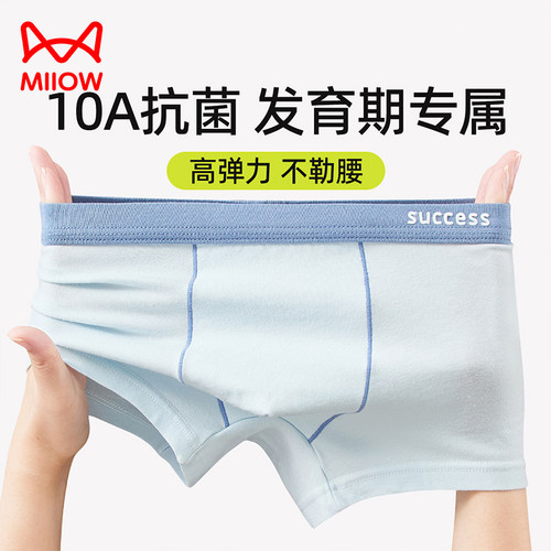 【医护级100%棉底裆】男童内裤