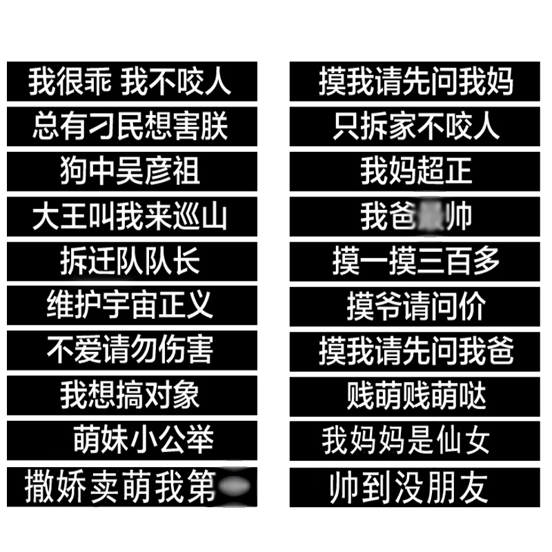 定制狗狗胸背带魔术贴字帖反光夜光贴纸饰个性魔术背包标贴自定义