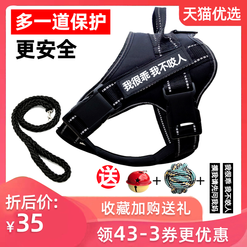 牵引狗链子柯基背心式金毛