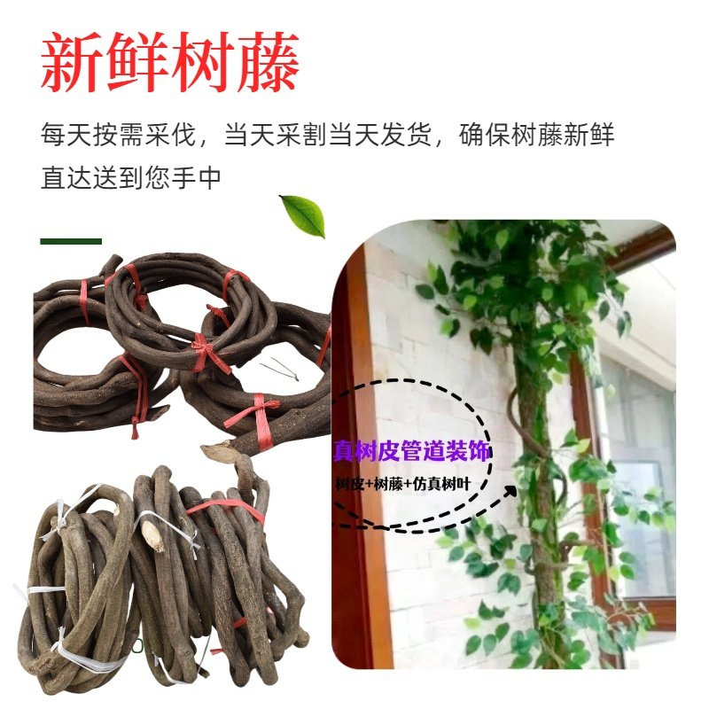 瑞阳花坊树藤藤蔓藤条枯藤树枝吊顶装饰室内造景假花绿植仿真叶子,鲜花速递/花卉仿真/绿植园艺,仿真绿植,淘宝优惠券,粉丝福利购,淘宝优惠卷