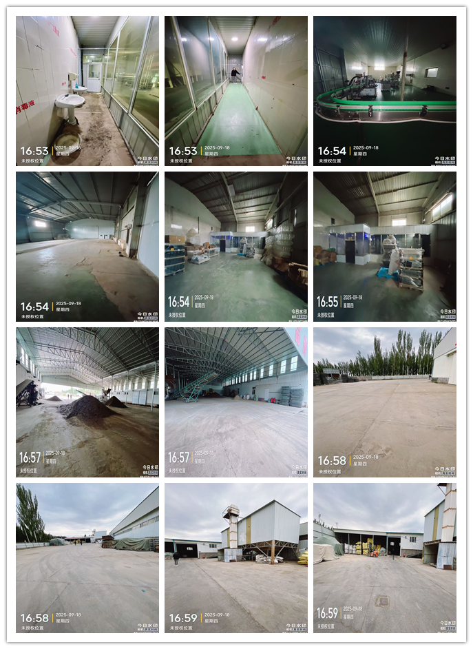 1月18日巴彦淖尔二组临五路北侧房屋及地上添建筑物平房、厂房、机器设备网络拍卖公告