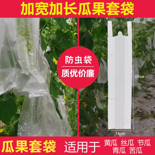防虫袋胶套袋青瓜苦瓜瓜果丝瓜节瓜防果蝇防鸟袋纸质葡萄水果套袋