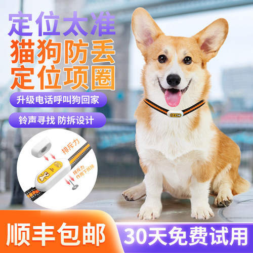告别寻狗启事！定位精准到离谱！