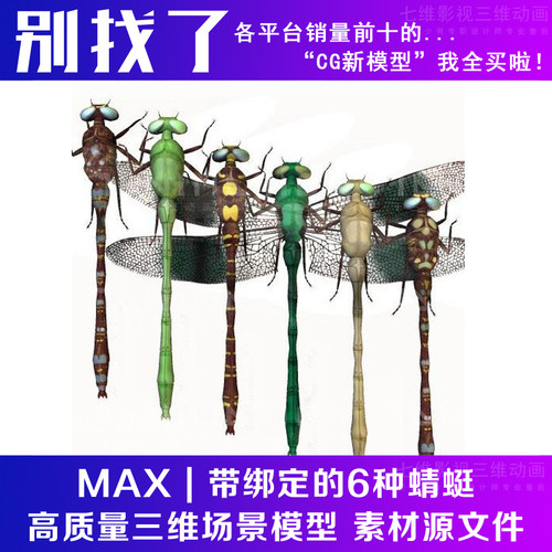 maya影视级别动物全集 昆虫篇 6 带绑定的6种蜻蜓3Dmax模型