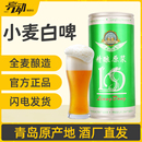 青岛特产国产整箱 青岛亮动精酿原浆啤酒小麦白啤1L 12瓶易拉罐装