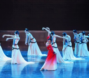 W中国舞蹈世界唐诗逸主演民族舞剧昭君出塞舞蹈服装服演出服定制