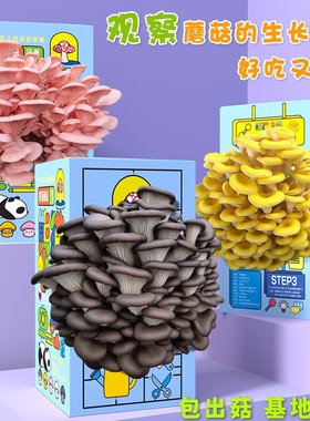 儿童创意生日礼物品送朋友全大班同学伴手礼分享幼儿园小学生奖励