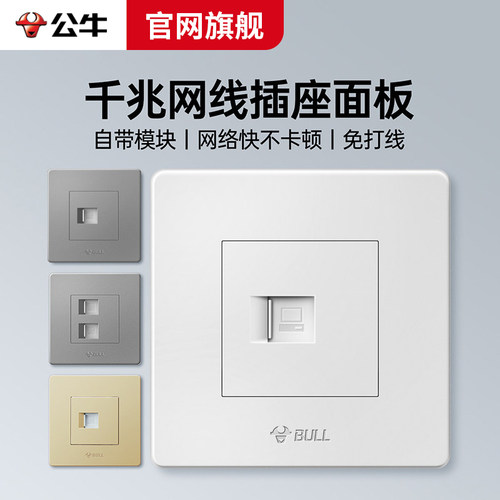 公牛网络面板网线插座面板双网线