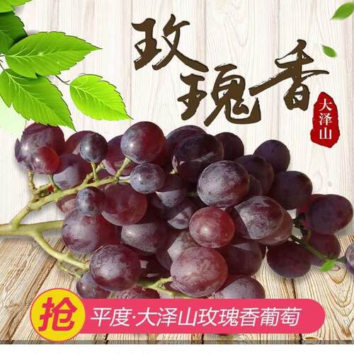 大泽山老玫瑰香葡萄正宗孕妇水果