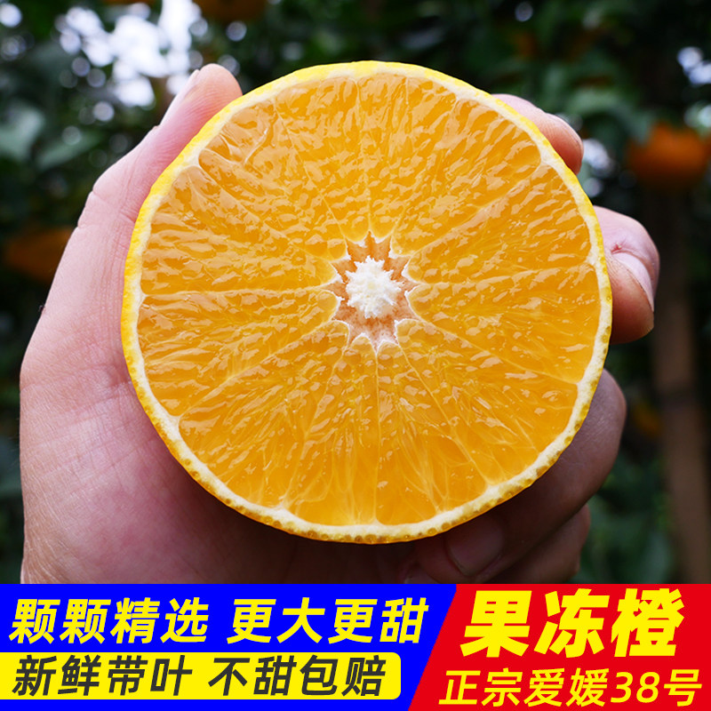 四川眉山爱媛38号果冻橙图片