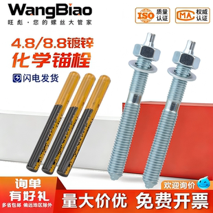 化学锚栓化学螺栓国标建筑膨胀丝m8m10m12m14m16m18m20m22m24m30
