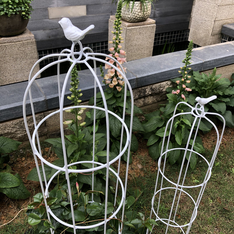 铁艺植物攀爬山乌龟铁线莲蓝雪月季花架子爬藤架造型小支架支撑杆,鲜花速递/花卉仿真/绿植园艺,花架,淘宝优惠券,粉丝福利购,淘宝优惠卷