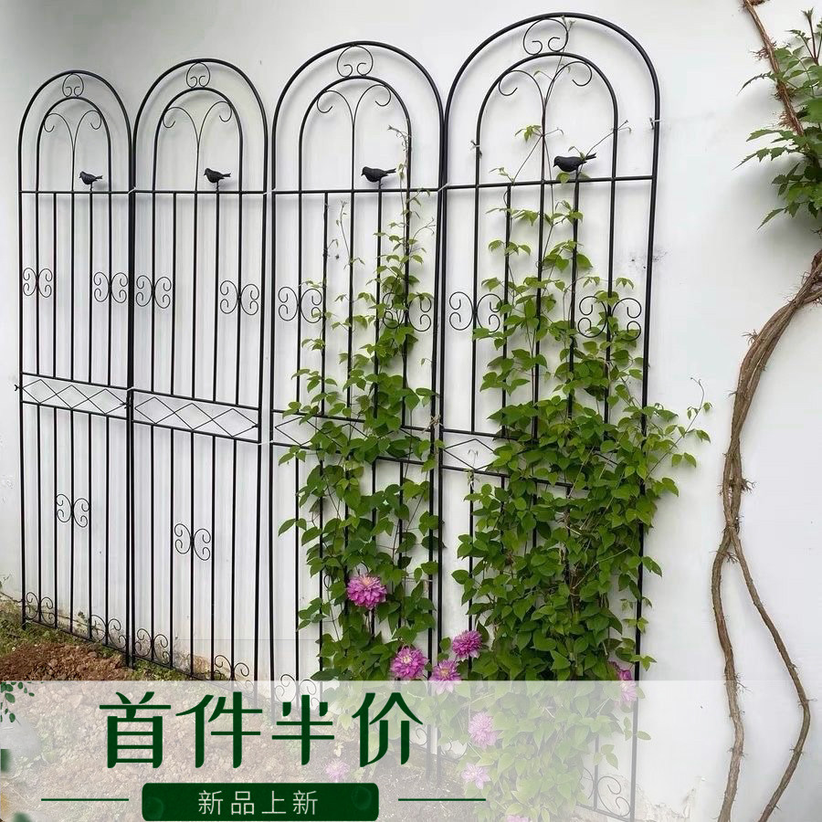 铁线莲爬藤架蔷薇月季种植