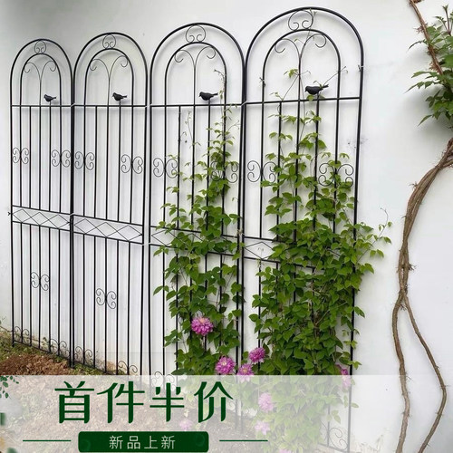 铁线莲爬藤架蔷薇月季种植