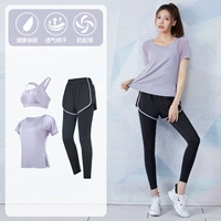 Три -купюр фиолетовый фиолетовый набор FTC34673