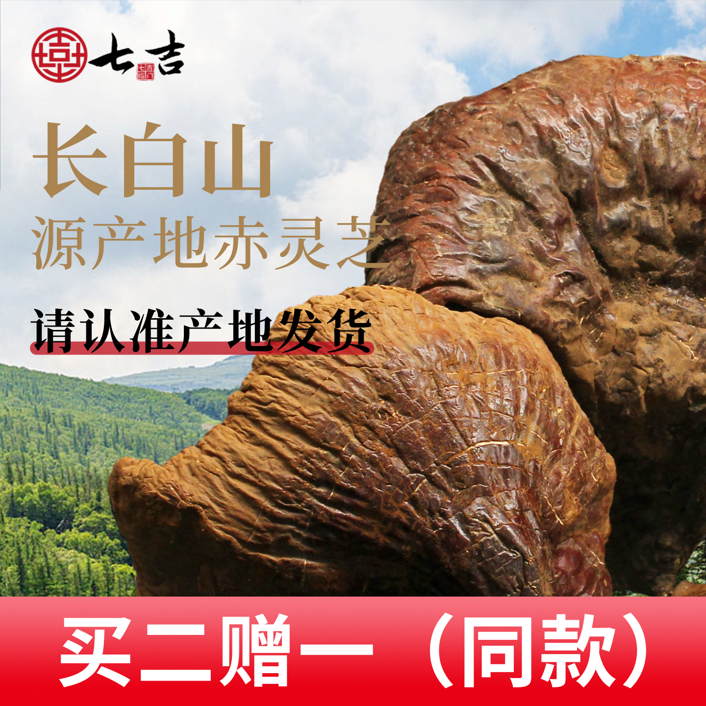 七吉整朵灵芝长白山200克无柄赤芝东北特产紫芝片林芝