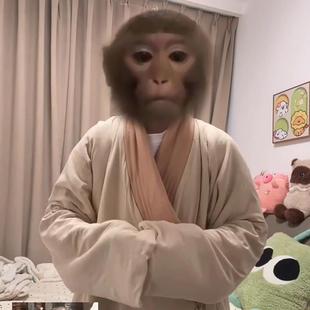 孙悟空睡衣吗喽睡袍猴哥道袍冬加厚家居服抽象搞怪齐天大圣cos服