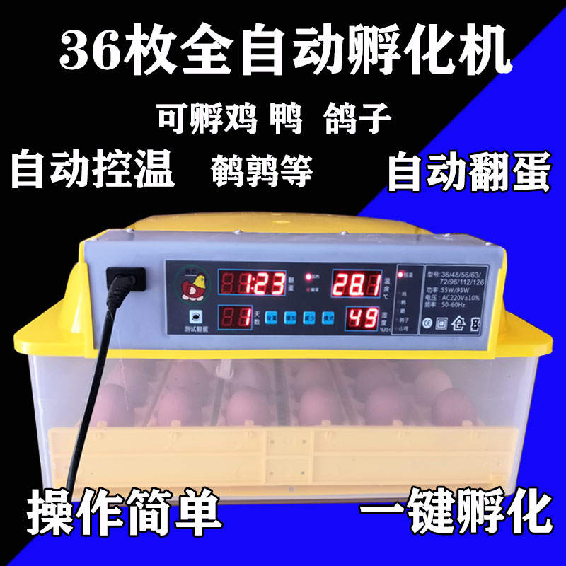 高出壳率糊化器好用电浮箱孵蛋器