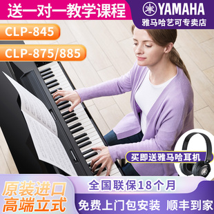 专业电子钢琴初学者 885立式 雅马哈电钢琴高端88键重锤clp845 875