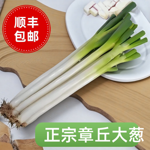 正宗章丘大葱微辣脆甜当季新鲜大葱蔬菜铁杆葱山东特产原产地直发