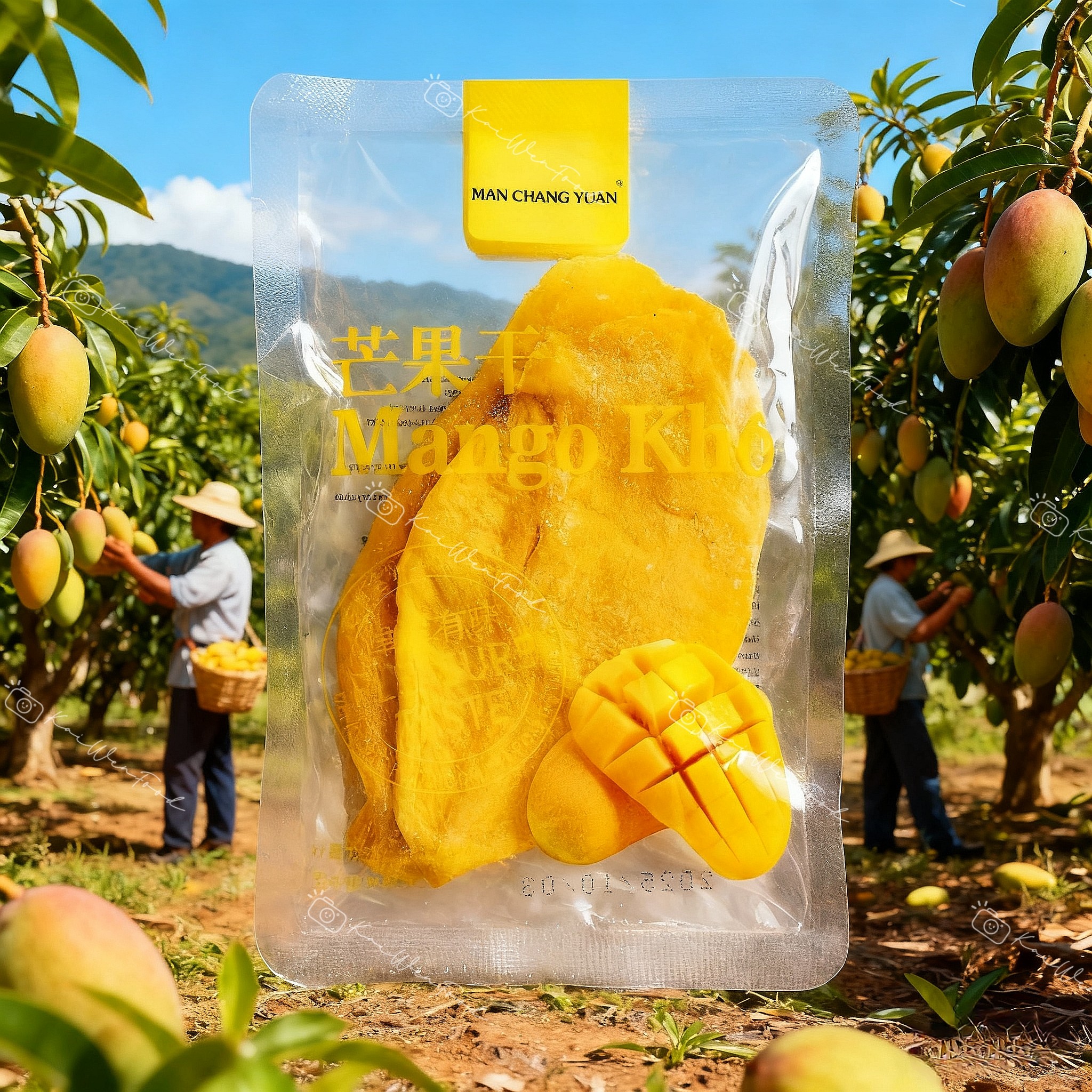 满昌园越南风味芒果干水果干果脯蜜饯休闲零食小吃解馋食品4包/串