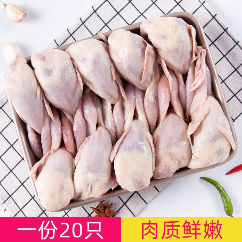 鹌鹑冻鲜鹌鹑肉新鲜商用烧烤生骨非乳鸽子肉生鲜鹌鹑活鸟现杀速冻