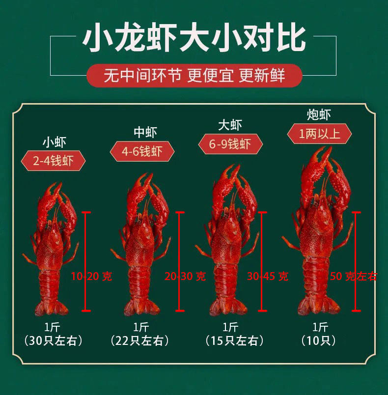 5斤567钱湖北小龙虾鲜活青壳红壳特大龙虾水产淡水清水虾现捞活虾