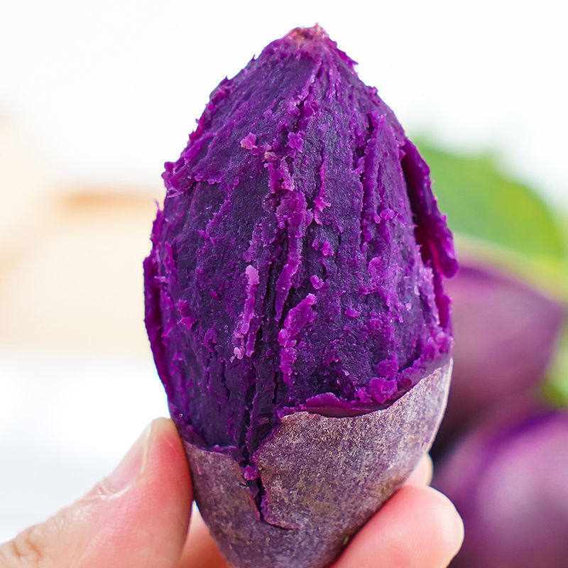 纯正越南紫薯新鲜小个低脂紫心红薯粉糯农家自种沙地番薯整箱5斤