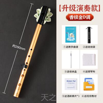 正品直爱尔哨业笛专演奏兰款直笛6孔成人C调D调初学者入门六孔高
