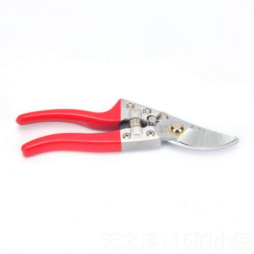 正品园艺工具业修花剪刀修枝专剪家用盆剪景花草园林树果多功能剪