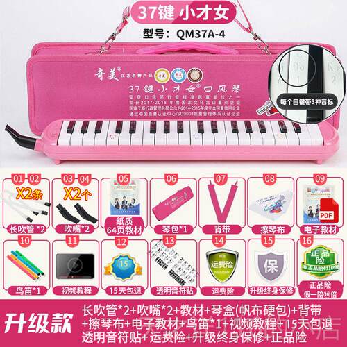 正品童奇美DH2S口风琴小学生用37键3专键儿专业演奏级初学者口吹