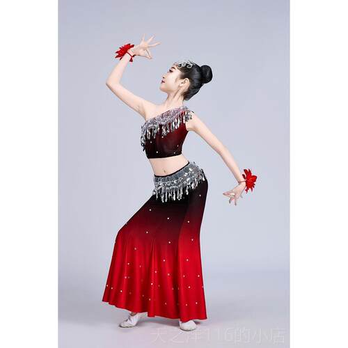 正品儿童族舞蹈服演出傣弹力孔雀舞蹈服女童幼演儿鱼尾裙表服傣族