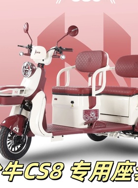 哈牛CS8座套三轮车专用座套垫加厚卡通可机洗雪尼纱坐垫绗绣0甲醛