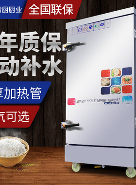 青厨商用全自动燃气蒸饭机