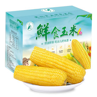 稻宝昌鲜制黄糯玉米棒非转基因10支2600g/箱