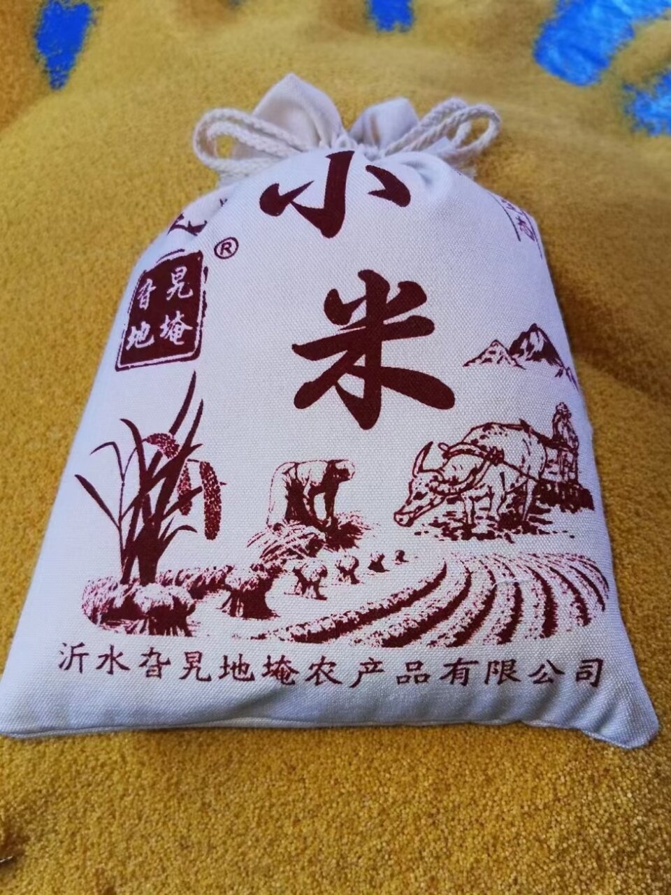 旮沓地埯沂蒙山小米早餐小米粥农家种5斤