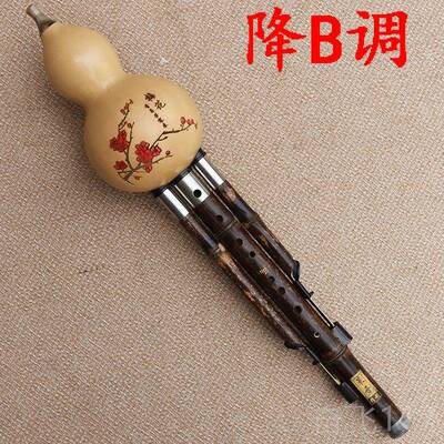 正品孔葫芦丝紫竹精准制演可转七孔宽音九域乐器FG降BC调音高奏音