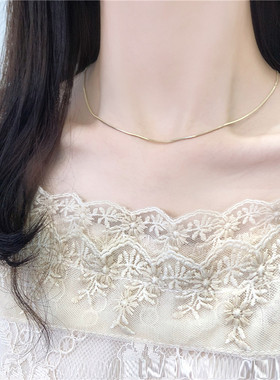 级感项链小众无吊坠蛇骨链细脖颈链裸链潮网红项圈锁骨链女C722