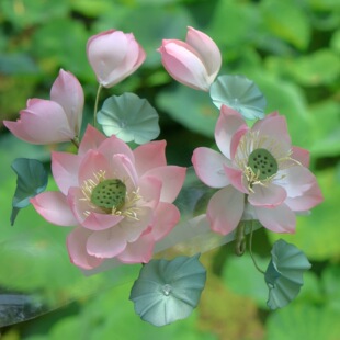 原创 清影 真丝烫花荷花发饰软杆簪花仙气夏日百搭汉服头饰配饰