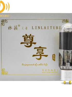 林籁之音特惠尊享ZX211电子管代E211/A211/WE211/金龙211电子管