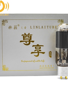 林籁之音特惠尊享ZX845电子管直代E845/A845/WE845/金龙845电子管