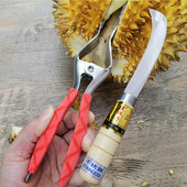 兰妹子不锈钢榴莲钳子开榴莲神器榴莲夹子开榴莲工具剥榴莲开果钳