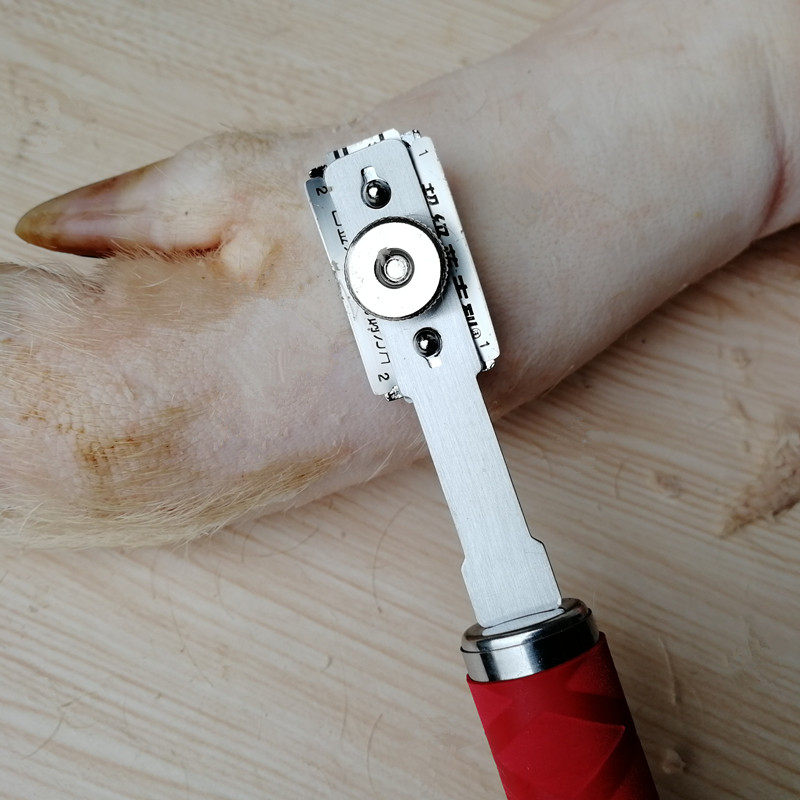 神器卖肉刮猪毛刀