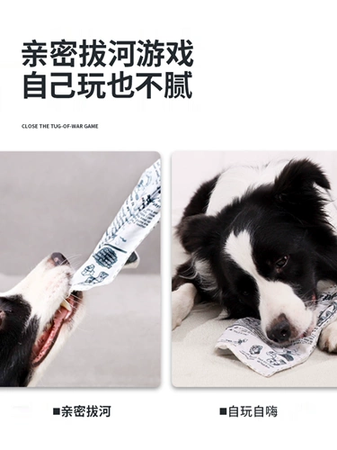 Домашние собаки голоса с игрушечной звуковой бумагой моделирование, размолочные зубы, снятие душного артефакта Биру Мейджин шерсть