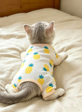 猫咪菠萝印花四脚衣春夏装背心防掉毛居家服透气可爱宠物狗狗服饰