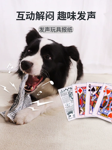 Домашние собаки голоса с игрушечной звуковой бумагой моделирование, размолочные зубы, снятие душного артефакта Биру Мейджин шерсть