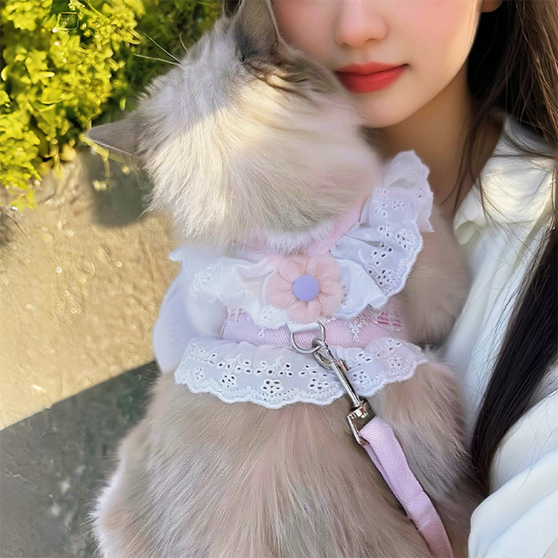 猫咪牵引绳防挣脱胸背带宠物衣服