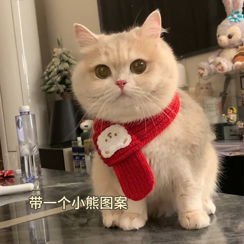 猫咪围脖新年红色围巾可爱口水巾过年喜庆配饰布偶银渐层宠物饰品,宠物/宠物食品及用品,围巾/口水巾,淘宝优惠券,粉丝福利购,淘宝优惠卷