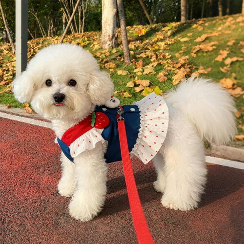 中小型犬背心式胸背牵引绳裙装