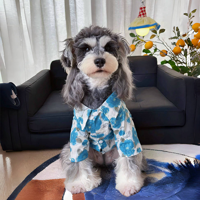 狗狗衣服夏季薄款复古风衬衫
